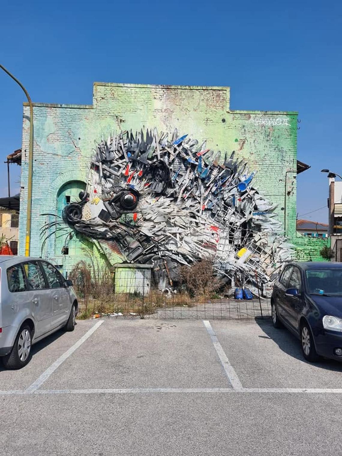 riqualificazione area riccio 