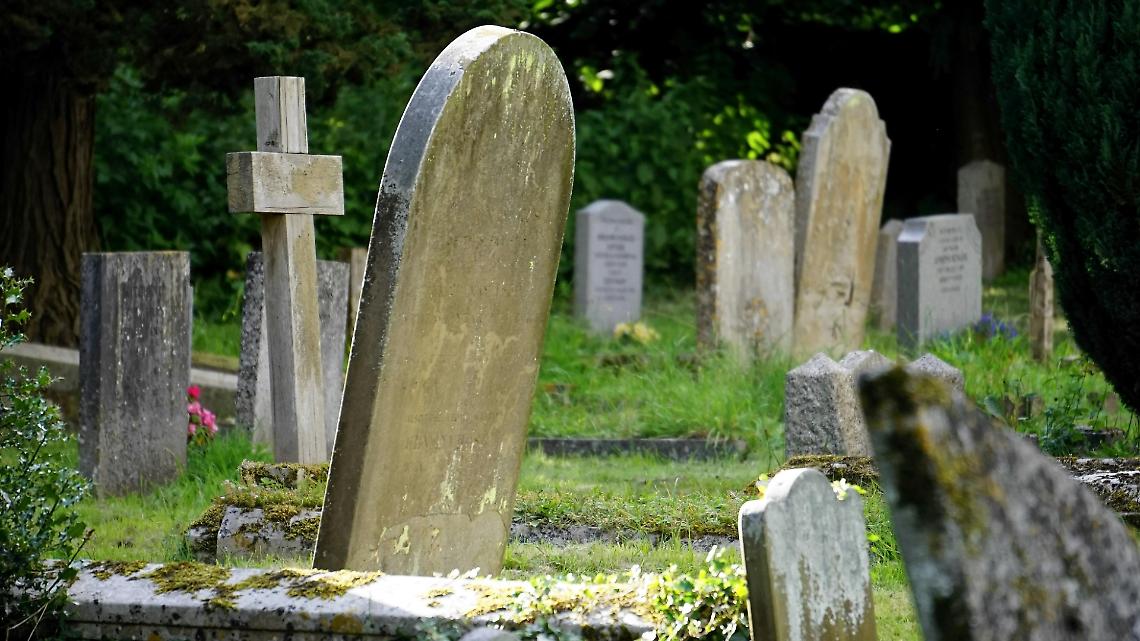 Cavarzere, raid al cimitero di San Pietro: depredate 25 tombe durante la pausa pranzo