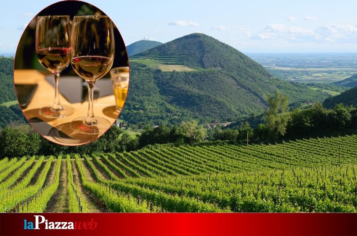Il Serprino Festival accende l’estate: vino, cultura e paesaggi unici nei Colli Euganei