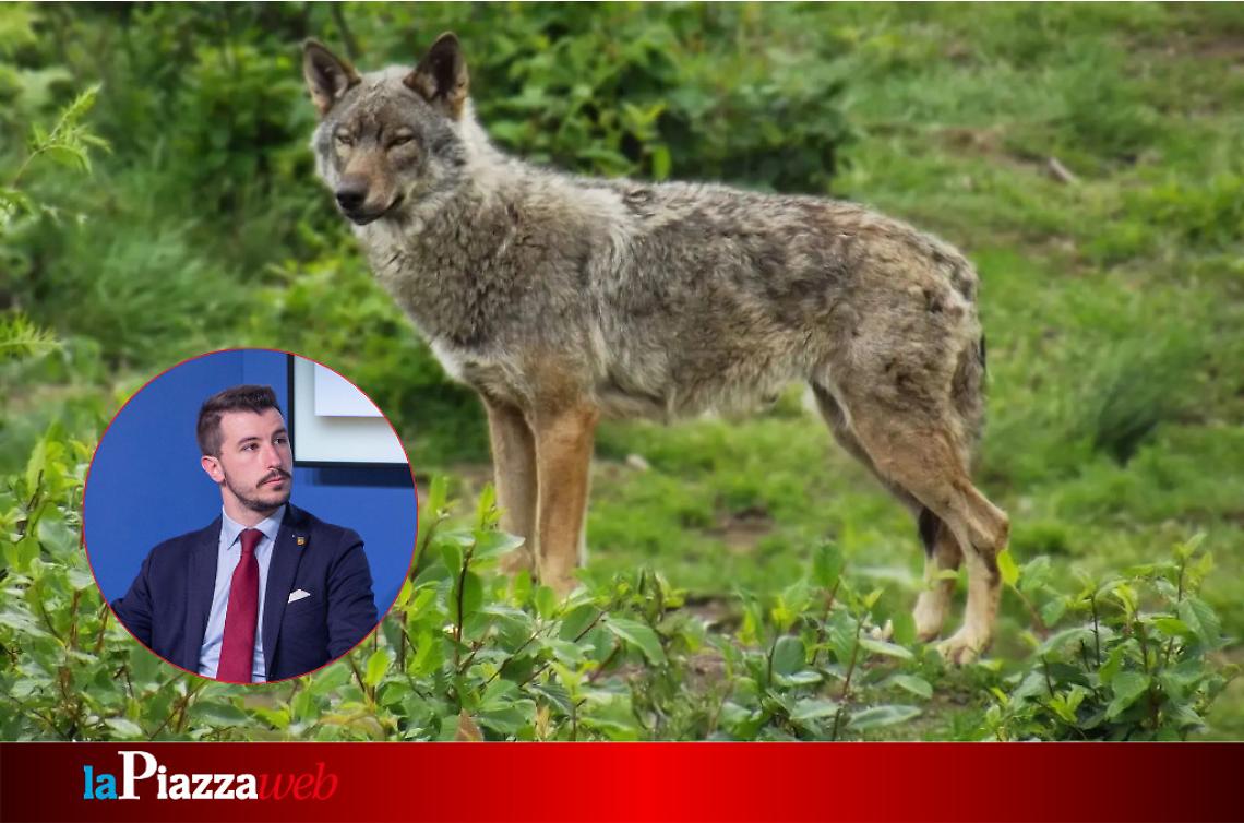 Il consigliere regionale veneto Tommaso Razzolini