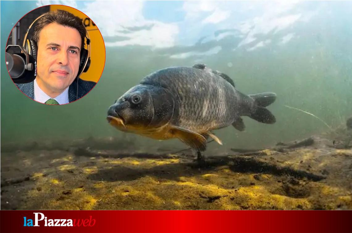 L'assessore regionale alla pesca Cristiano Corazzari