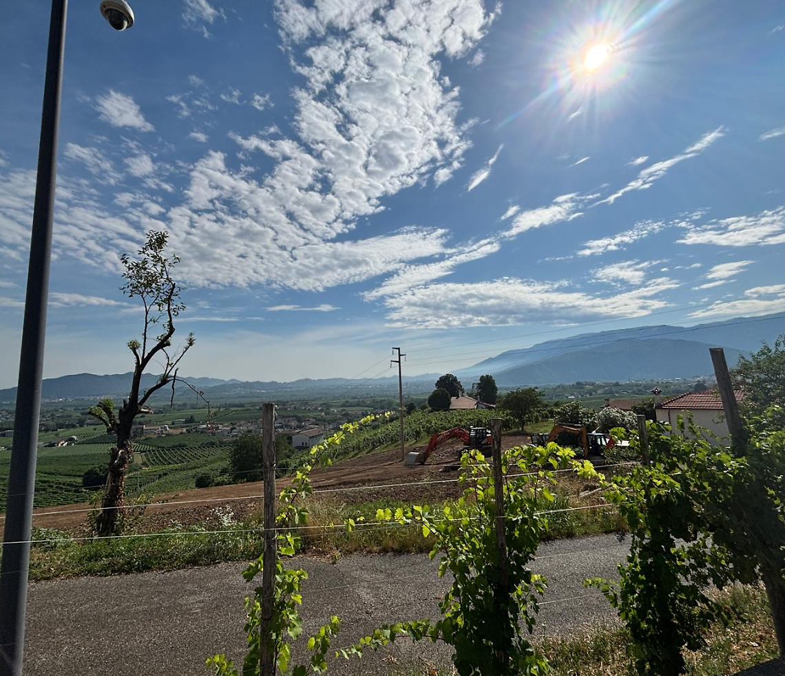 Boom di presenze nelle Colline del Prosecco: il turismo cresce tra gusto, paesaggi e accoglienza