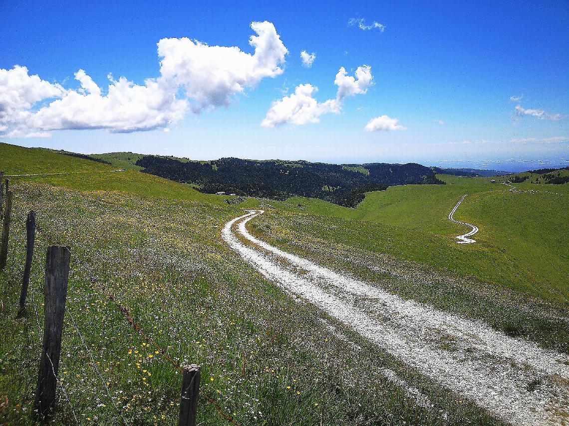 Tra contrade e erbe officinali: escursione in Lessinia con visita all’azienda "Le erbe di Cenise" e al Museo della contrada