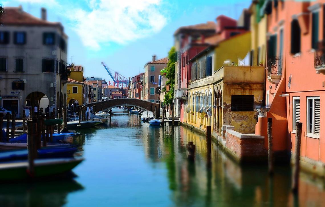 Sagra del Pesce 2025 a Chioggia: l’edizione che ha fatto registrare numeri da record
