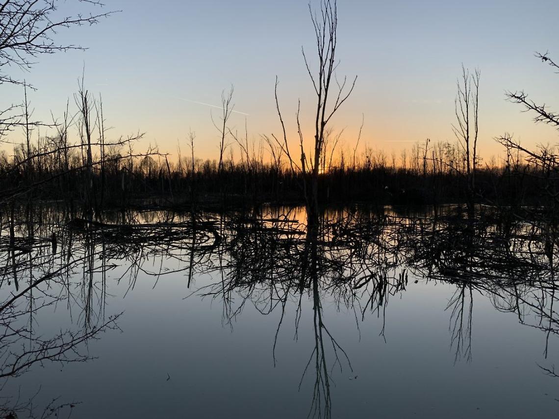 “Oasi Lycaena? Chiusa fino a fine anno”