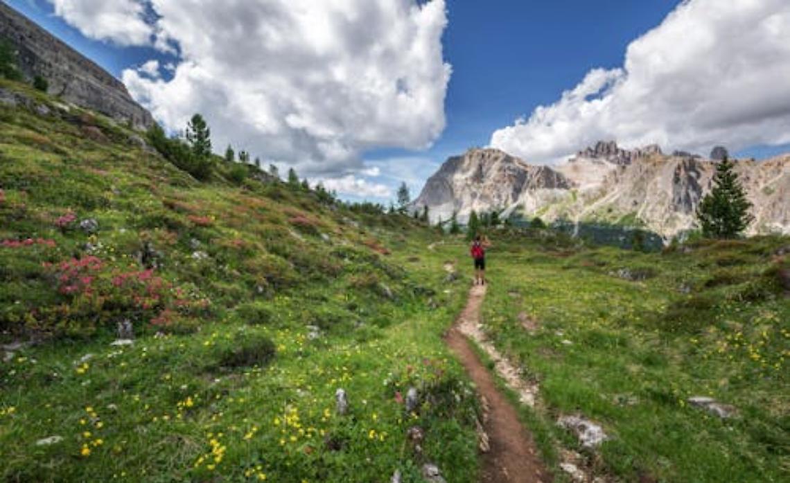 Escursione panoramica tra le valli di Mezzane e d’Illasi
