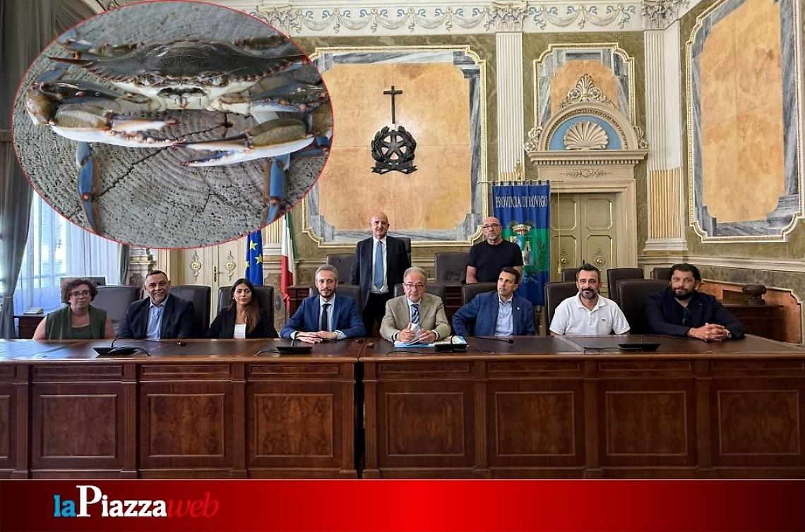 Emergenza Granchio Blu, il Veneto stringe il fronte: nuovi fondi e misure a tutela delle imprese locali