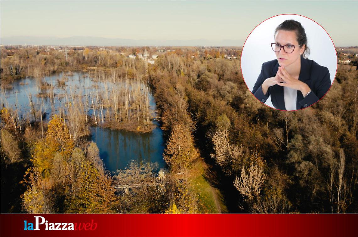 L'oasi Lycaena tra Salzano e Martellago