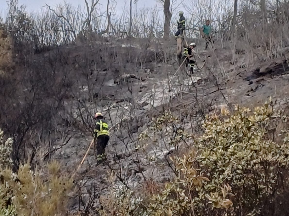 I volontari veneziani su un pendio colpito da un incendio