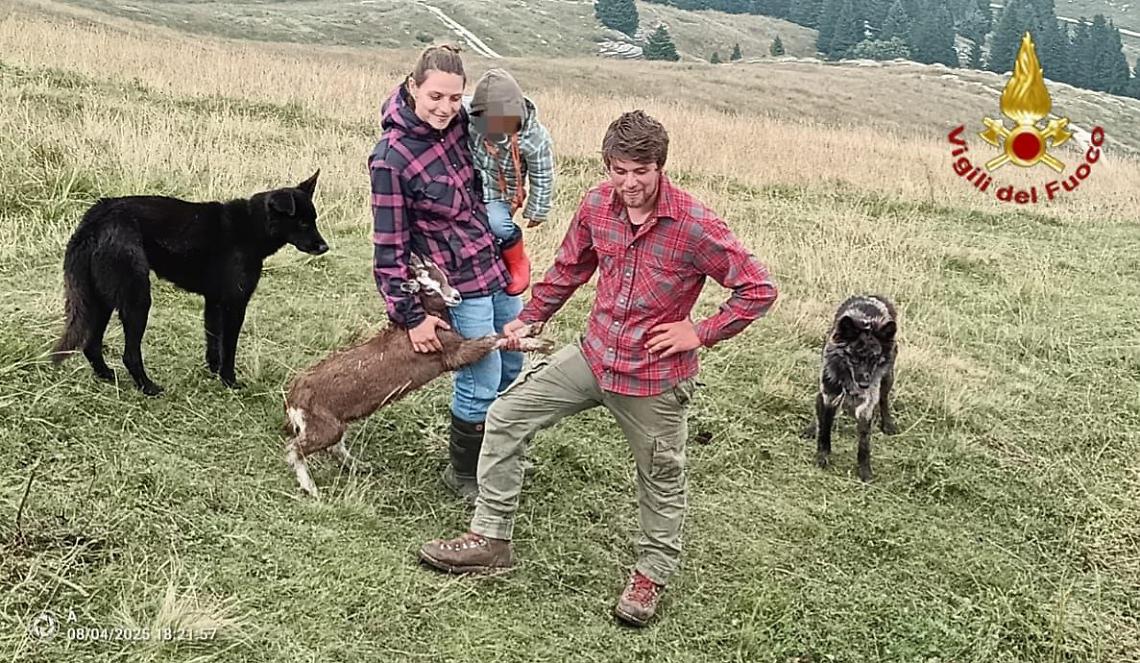 L'animale, appena soccorso, è stato riportato ai proprietari
