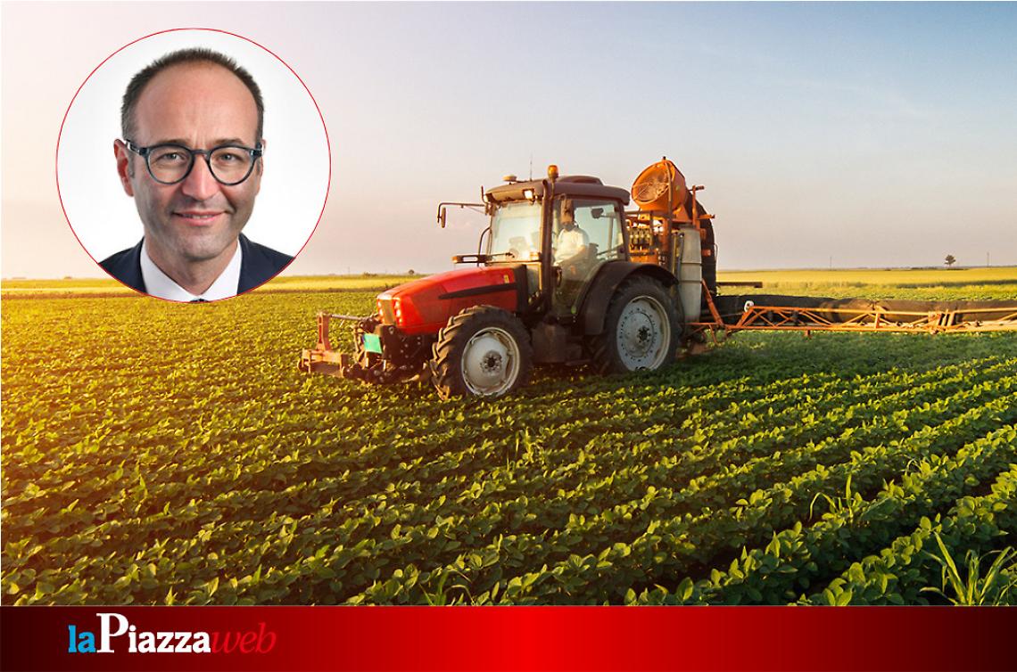 Foto di repertorio 