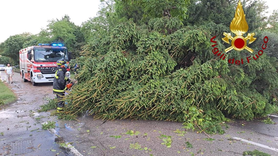 Violento nubifragio su Castelfranco Veneto: alberi sradicati e interventi dei Vigili del Fuoco