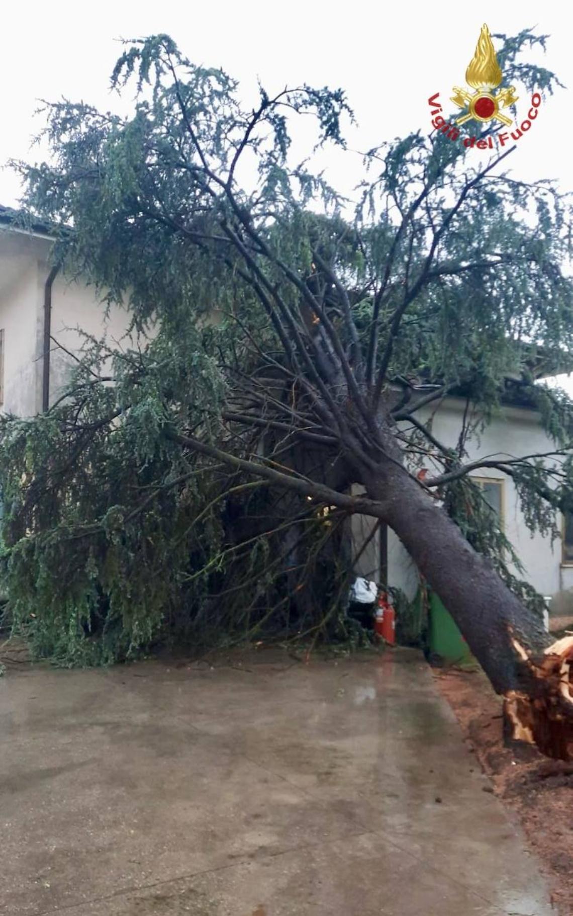 Inferno di vento e pioggia nel Padovano: crollano alberi, case danneggiate