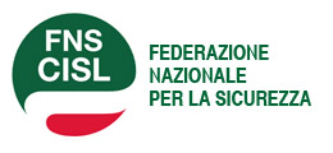 Il logo della FNS Cisl