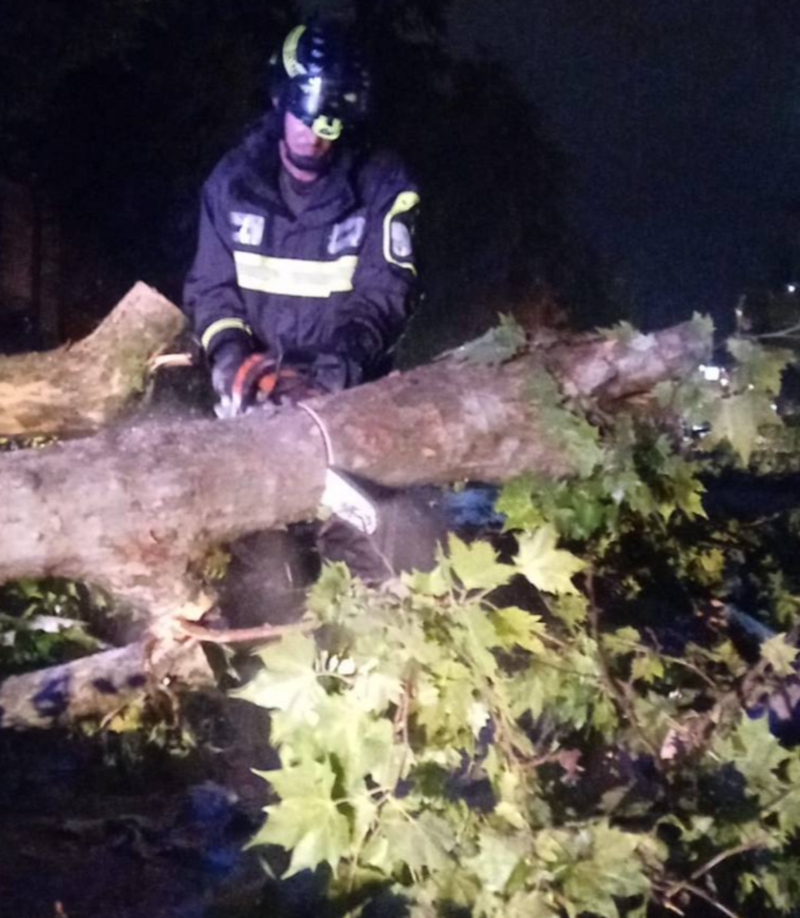 Maltempo nel Trevigiano, 65 interventi dei Vigili del Fuoco: alberi abbattuti e tetti danneggiati