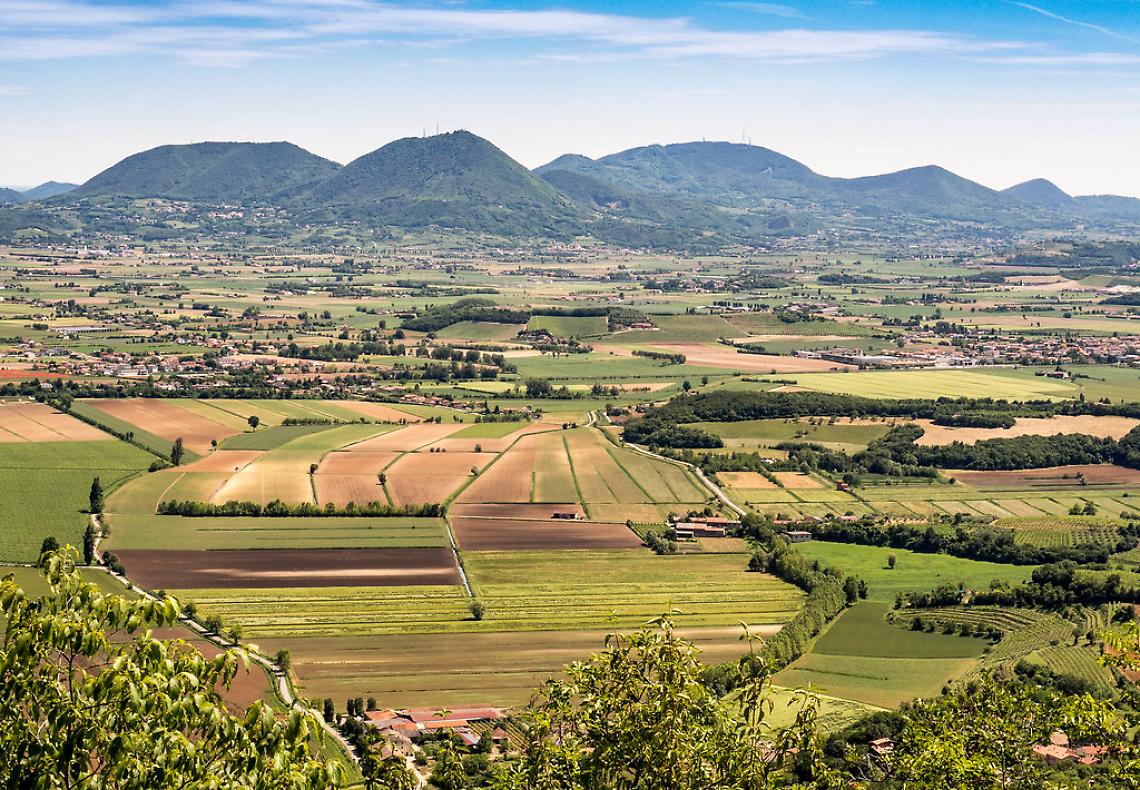 Colli Euganei: tra natura, storia e vino nel cuore verde del Padovano
