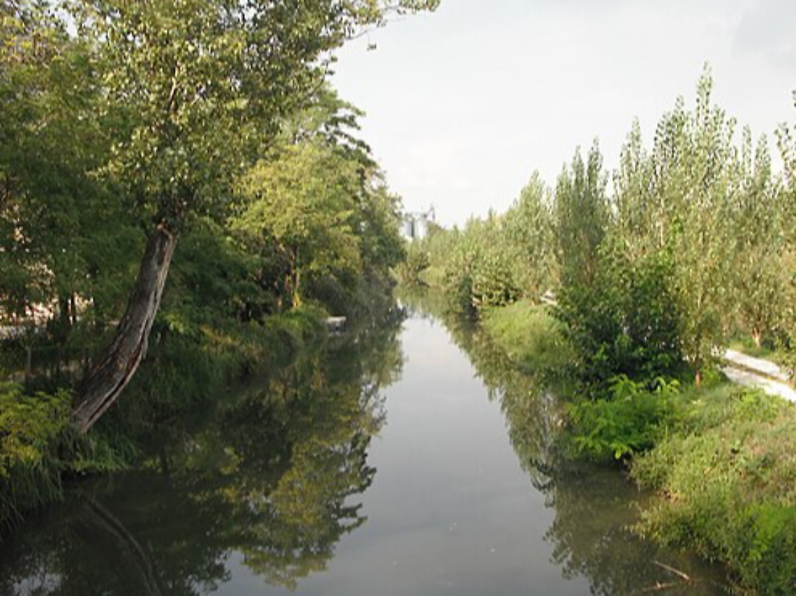 Le acque del fiume Musestre dove è stata ritrovata la salma
