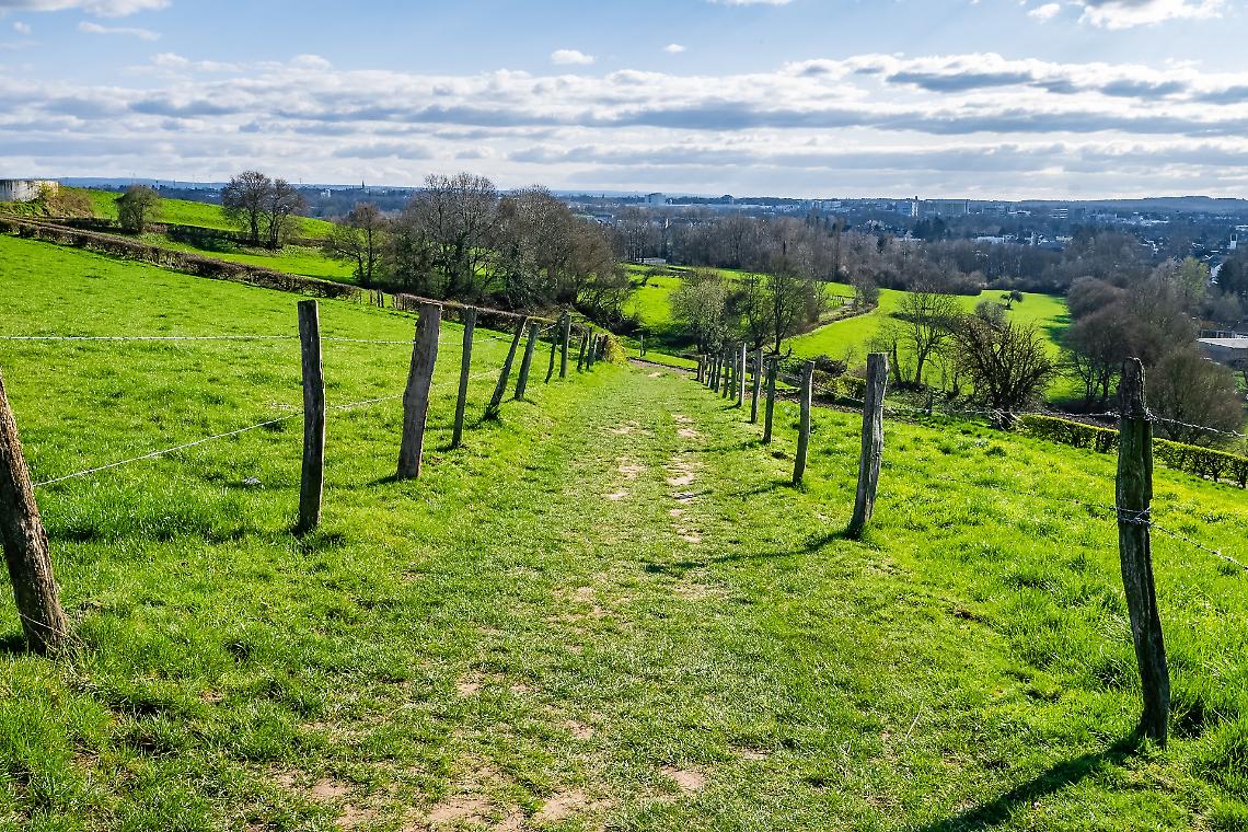 Il 'Percorso del Petrarca': Monselice e Arquà unite in 5,3 km tra vigneti e storia