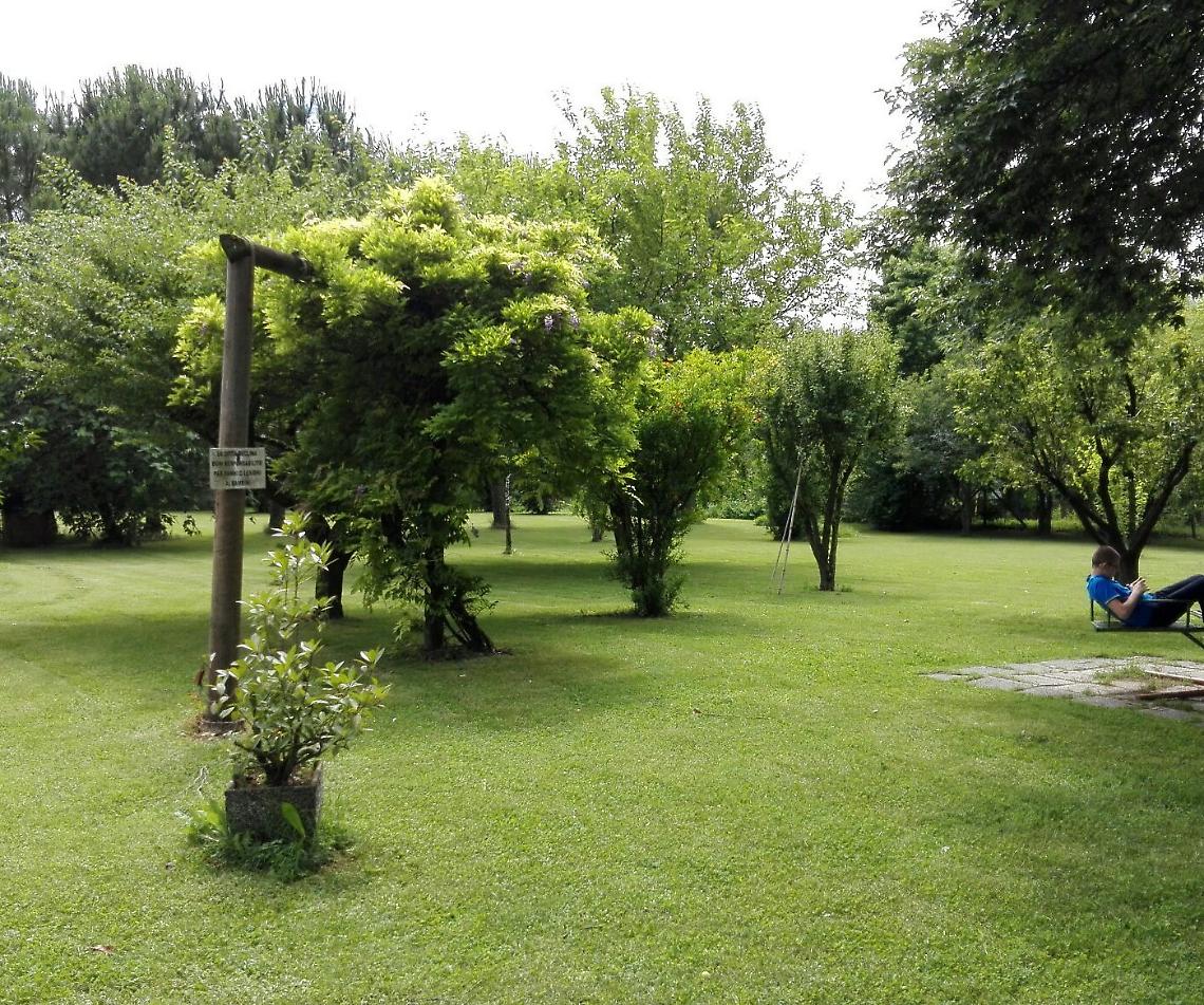 Nuove radici per il futurodal Polmone Kioene ad “Alberi in Pianura”