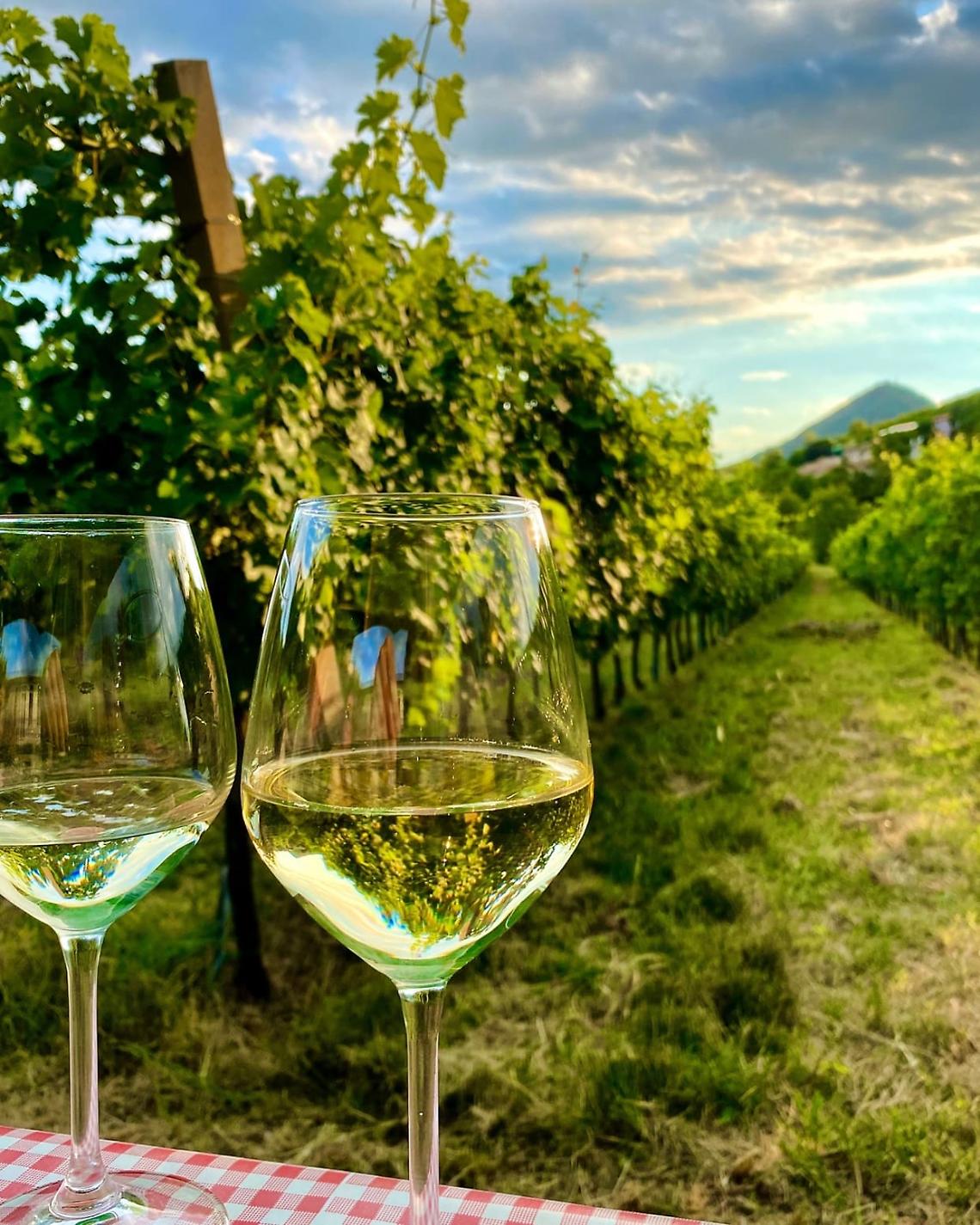 Vo’, il vino incontra le arti nella 74ª Festa dell’Uva