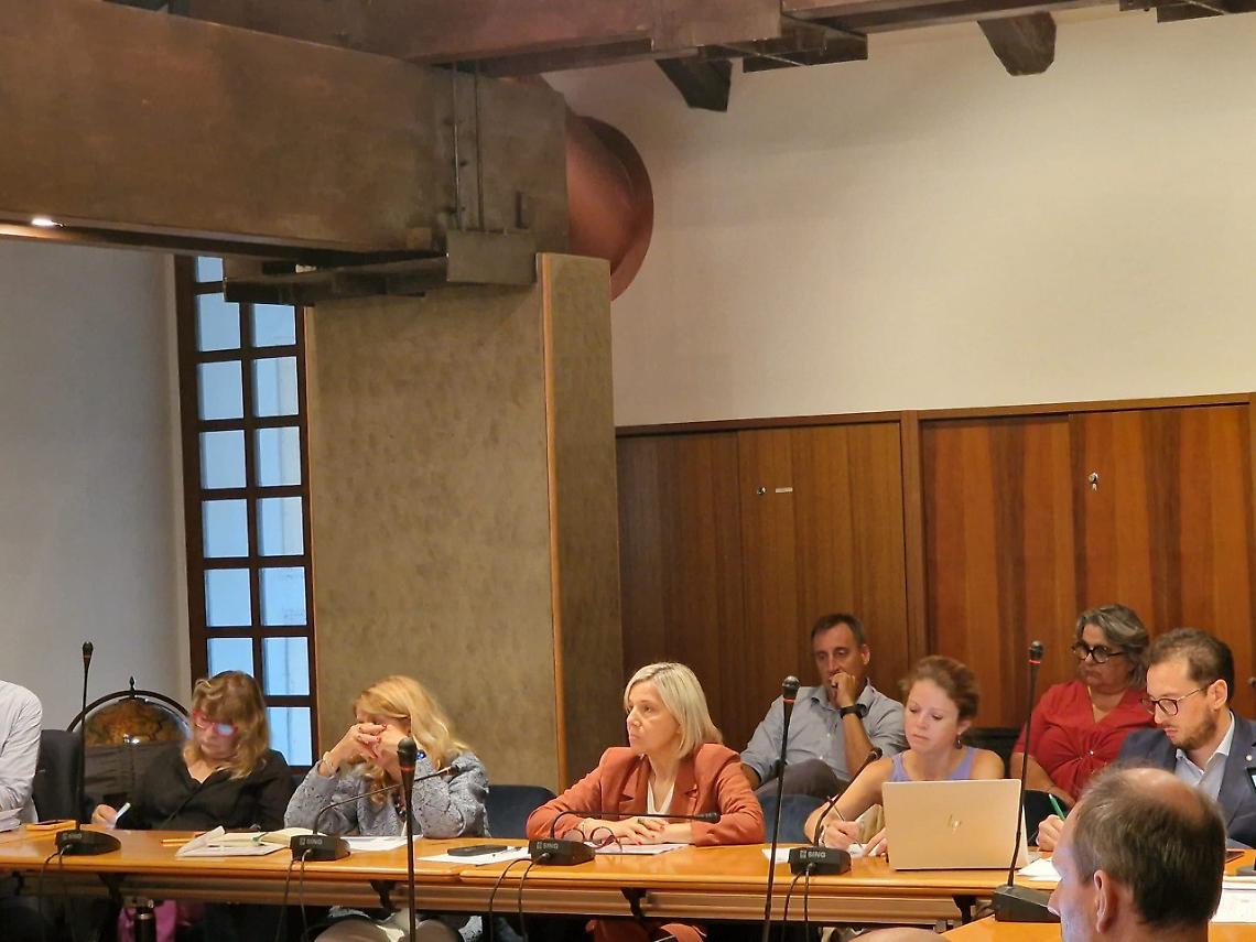 L'assessore Lanzarin durante la riunione a Palazzo Balbi