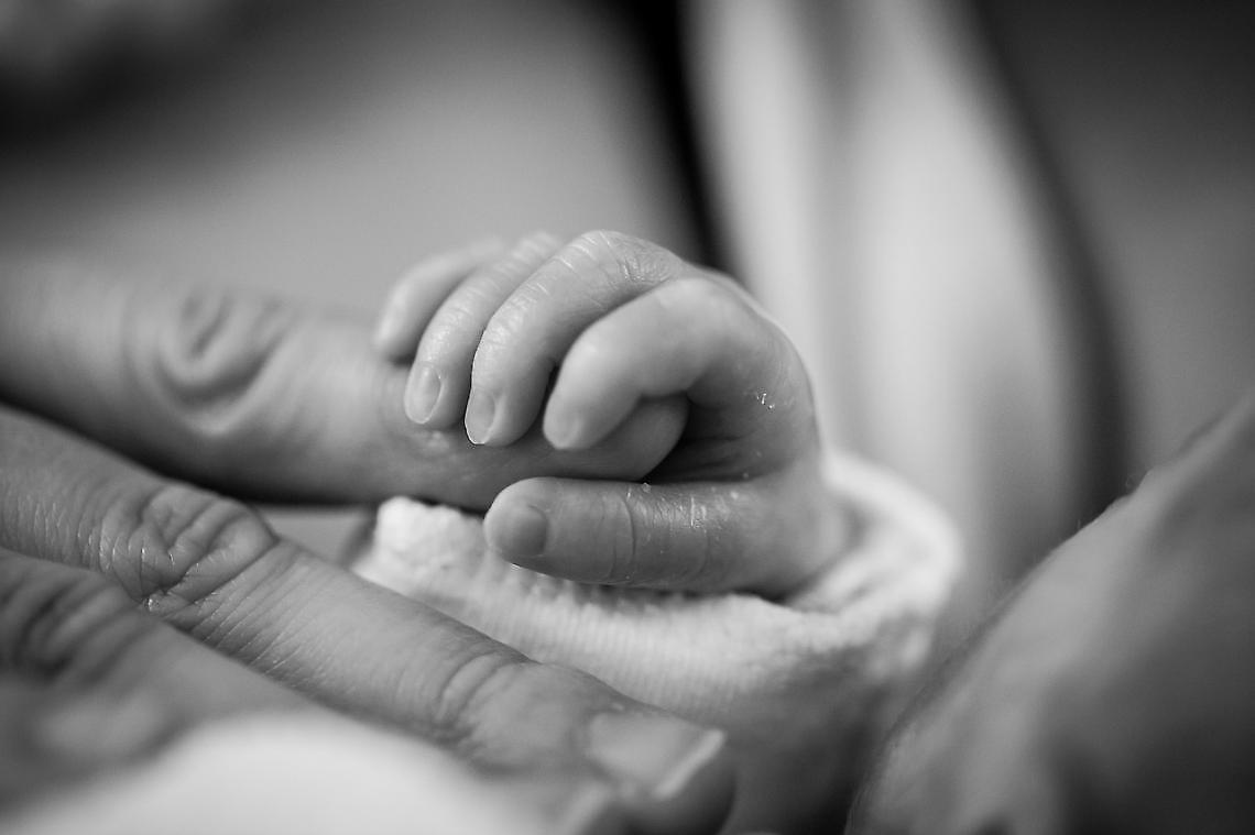 Il crollo della natalità a Mira mette a rischio tante scuole