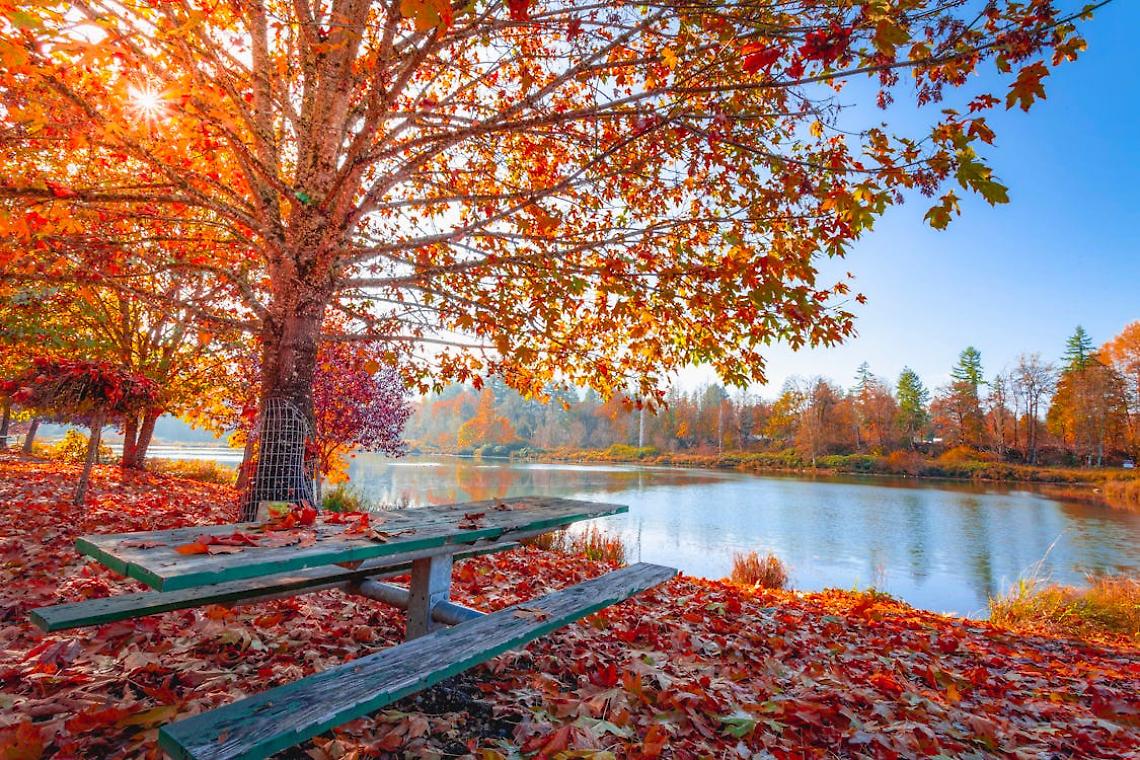 Autunno in Veneto: le 3 meraviglie di una stagione da vivere