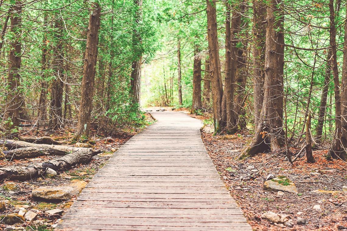 I migliori sentieri da percorrere in Veneto: alla scoperta di natura, storia e panorami mozzafiato