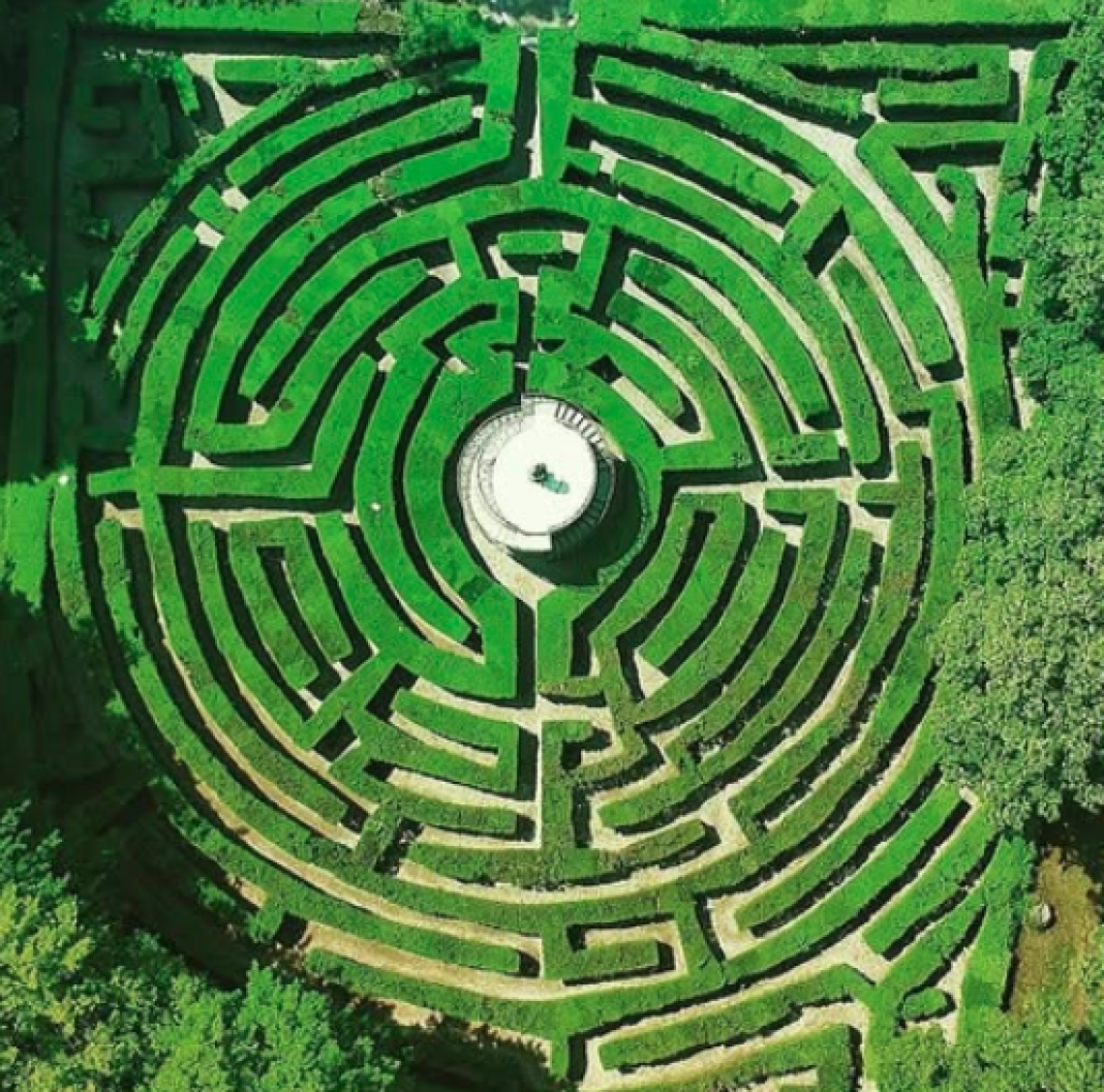 Il labirinto segreto di Villa Pisani: dove il Veneto sfida la mente tra siepi e mistero