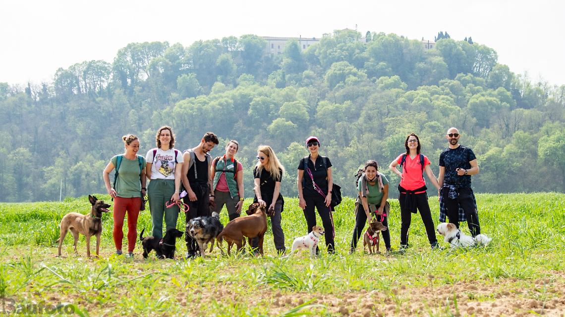 Colli Euganei a 6 Zampe: tornano le camminate di gruppo insieme a Fido 