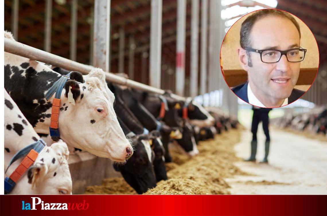 L’assessore regionale all’Agricoltura, Federico Caner
