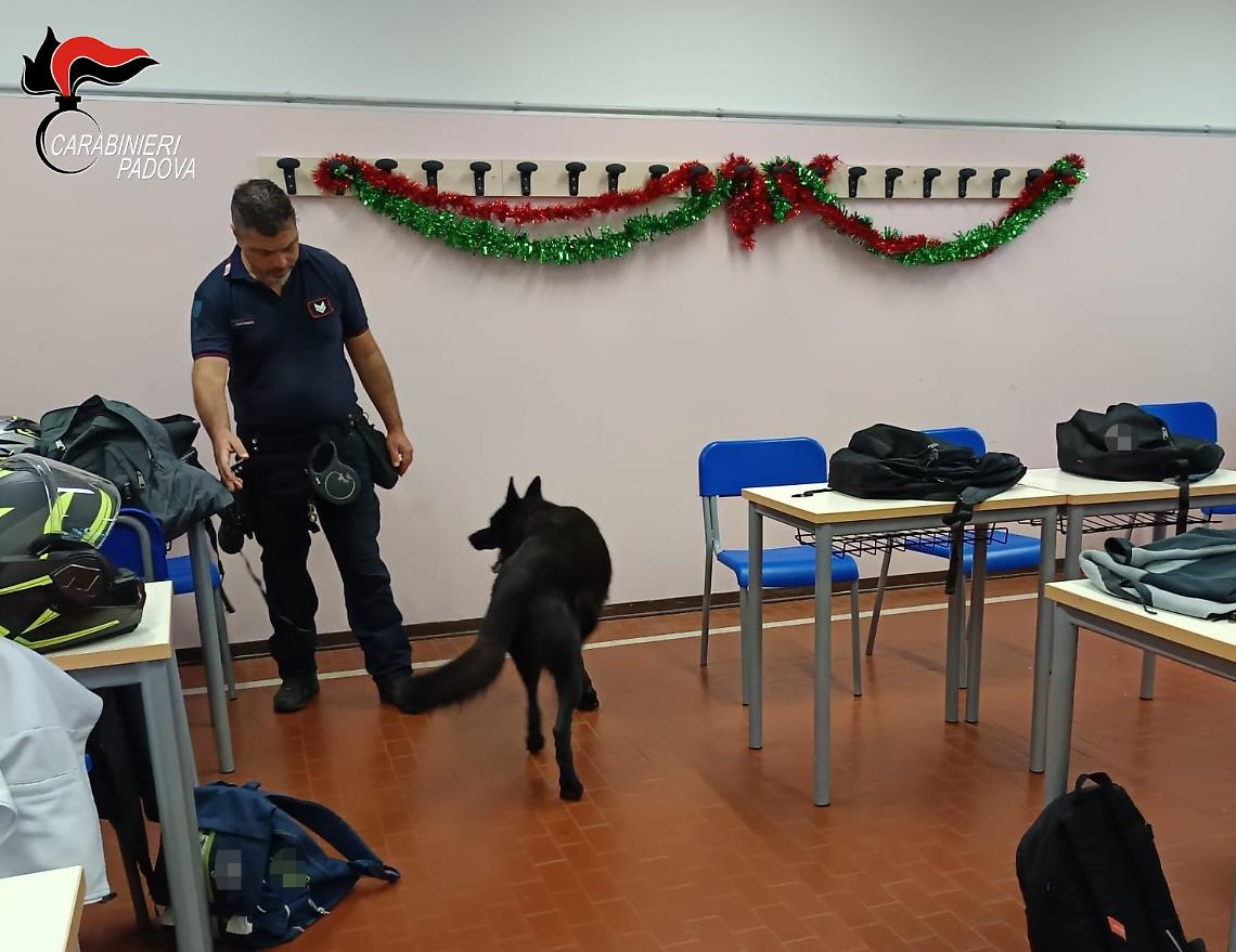 Controllo straordinario antidroga a Cittadella: 230 studenti ispezionati