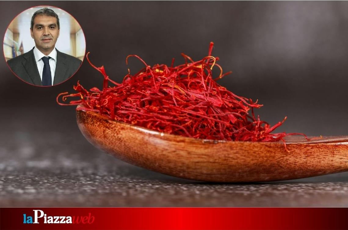Monselice (Pd): Soranzo (FdI) visita  l'azienda agricola "La Saggezza della Terra" 