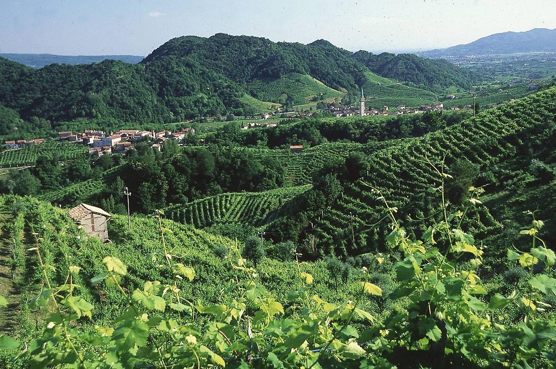 Escursioni nei Colli del Veneto: dove natura e paesaggi incantevoli si incontrano
