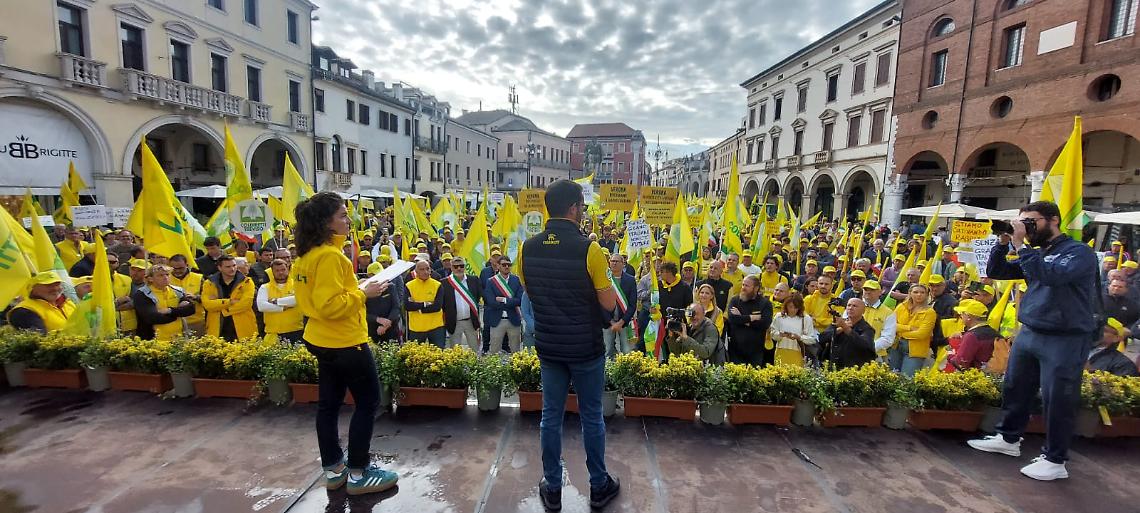 Coldiretti Veneto scende in piazza a Rovigo: “Stop ai trafficanti di grano, salviamo il nostro futuro”