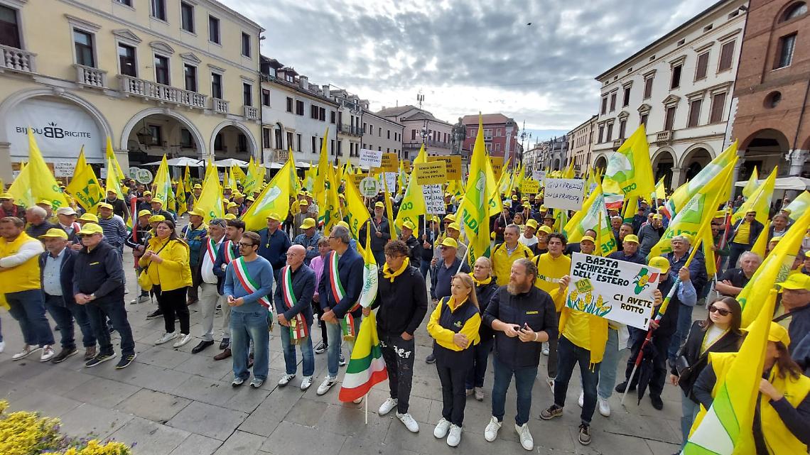 Foto della manifestazione