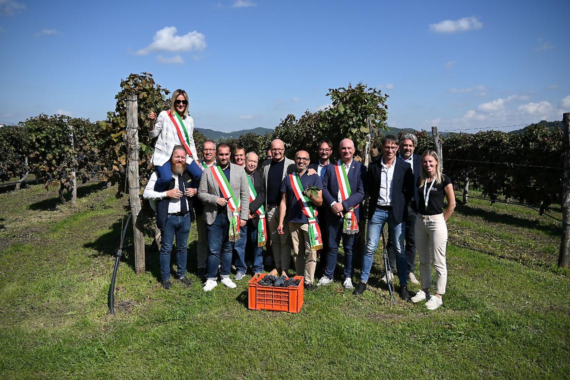 I sindaci del Padovano hanno partecipato alla vendemmia