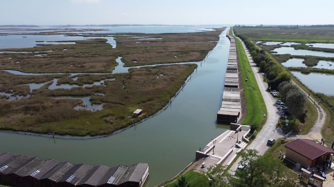 Parco delle Giare a Mira, 10 ettari di biodiversità a difesa della laguna e del territorio 