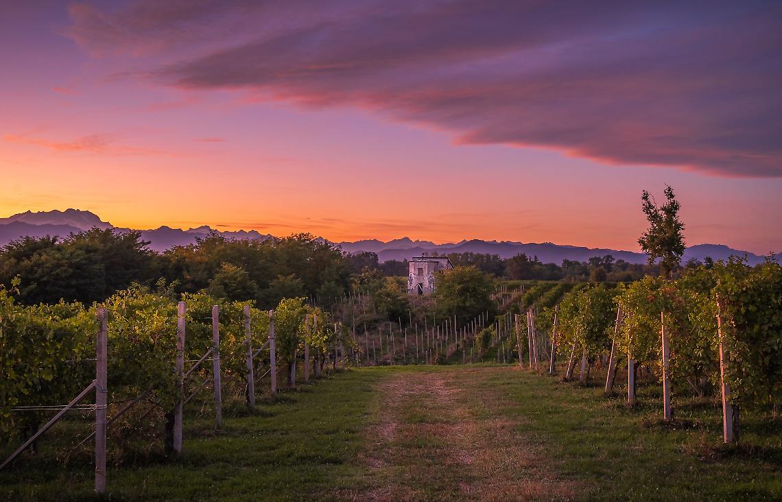 Tour delle colline Venete: alla scoperta dei vini della regione 