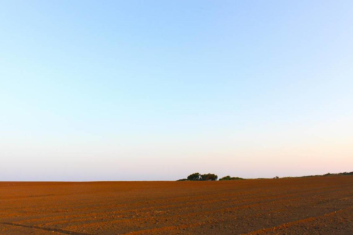 JMuseo accende l’inverno di Jesolo con “Franco Fontana – Colors”