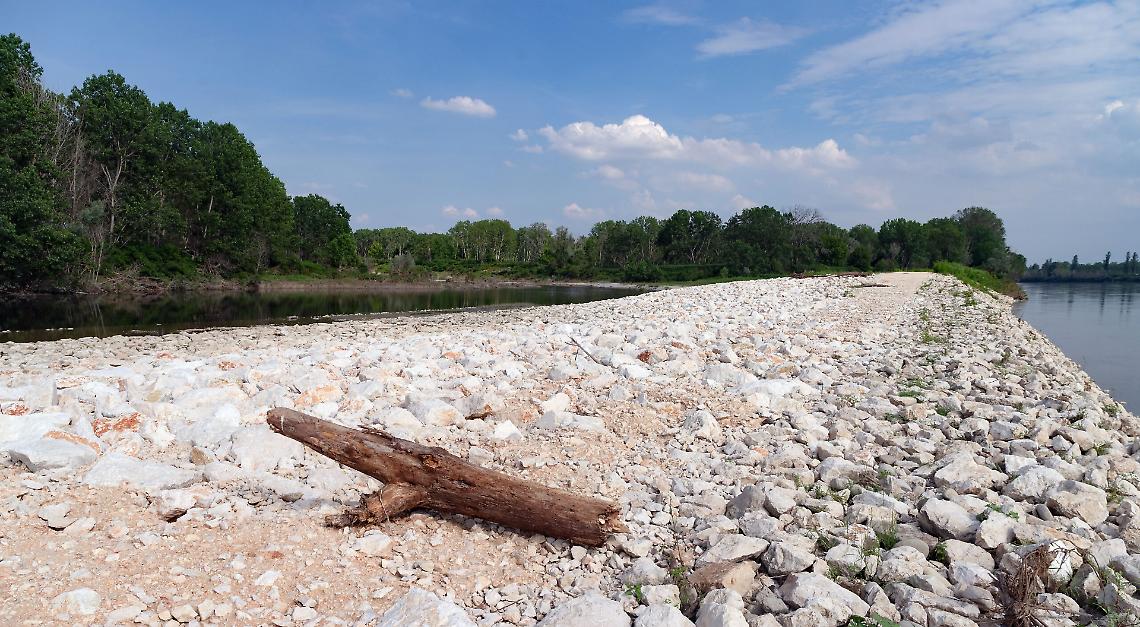 Il Po si rinnova: Aipo avvia cantieri PNRR per sicurezza idraulica e rinaturazione del delta