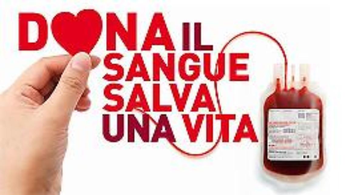 Avis, tutti i premiati della sezione salzanese
