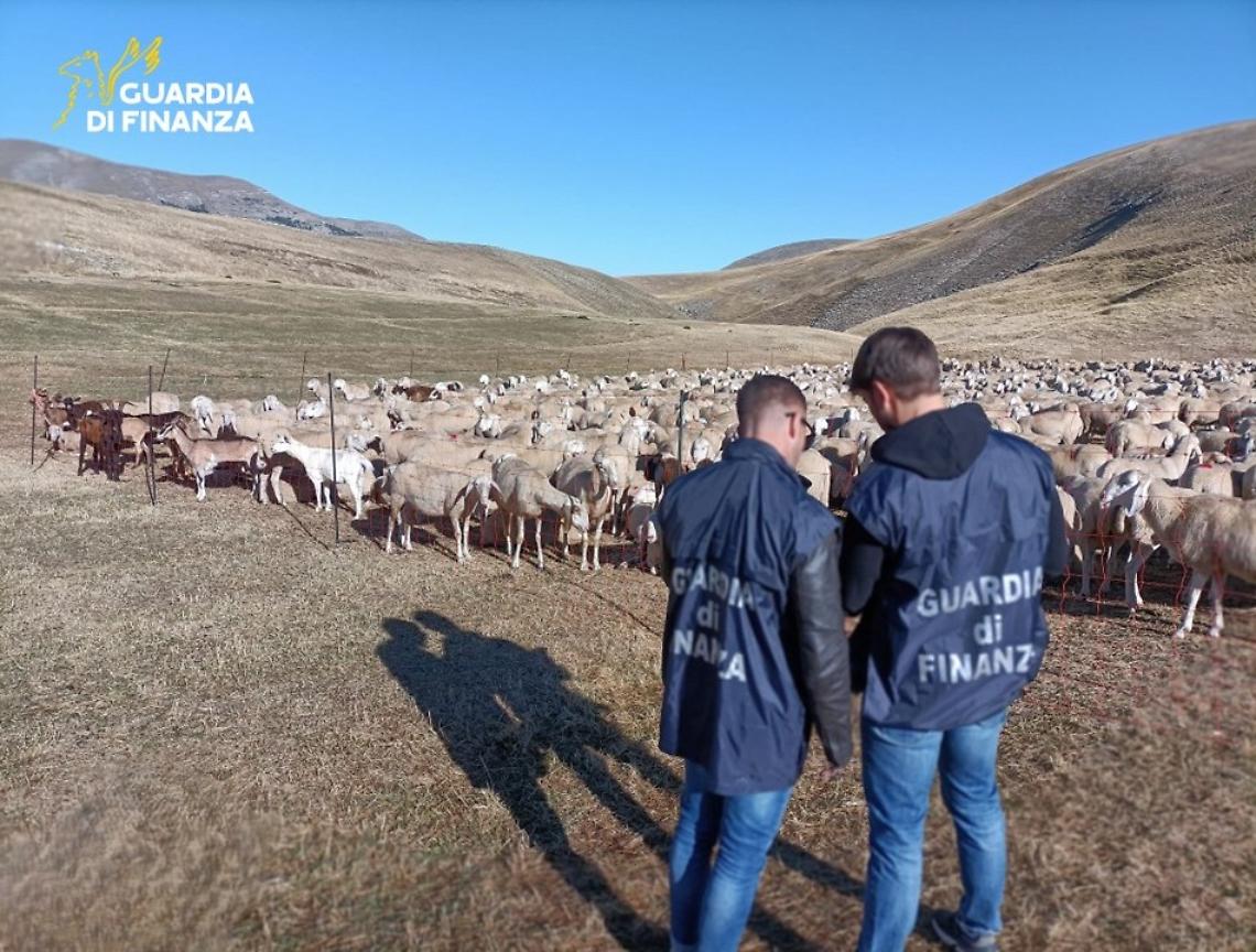 Maxi frode ai danni dell’Unione Europea: 48 imprenditori agricoli nei guai, sequestrati 17 milioni di euro