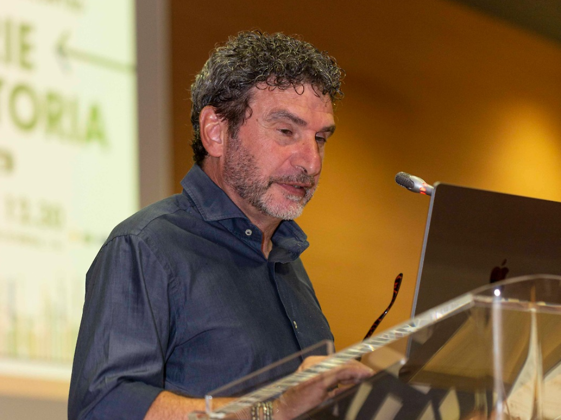 Luca Sartorato, Presidente CEIS