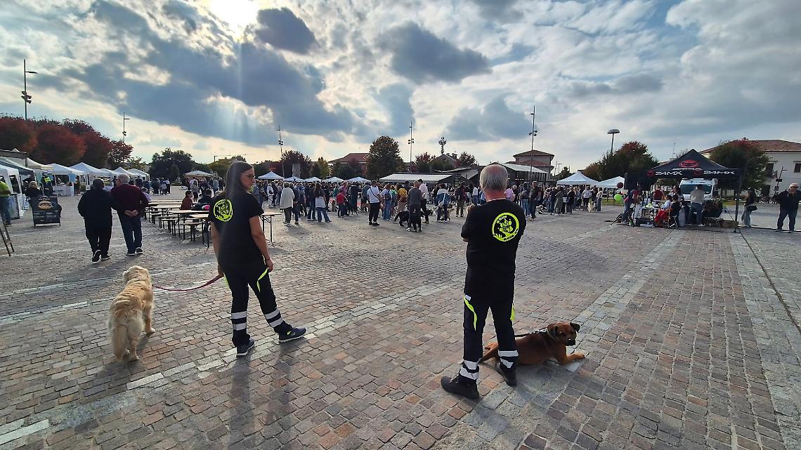 Prima festa degli animali domestici ad Albignasego