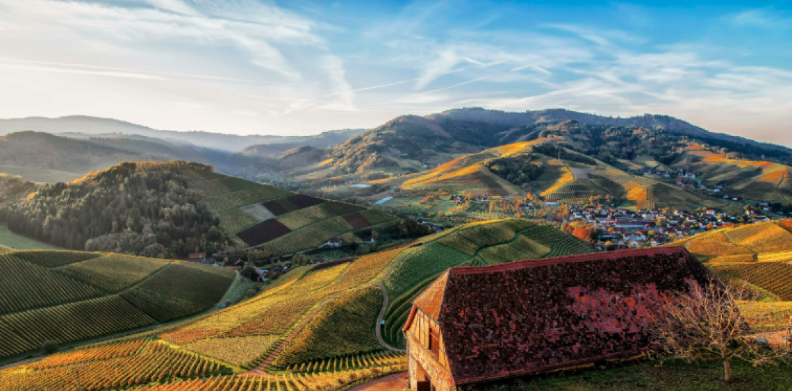 Alla scoperta dei sapori del Veneto: itinerari enogastronomici da non perdere