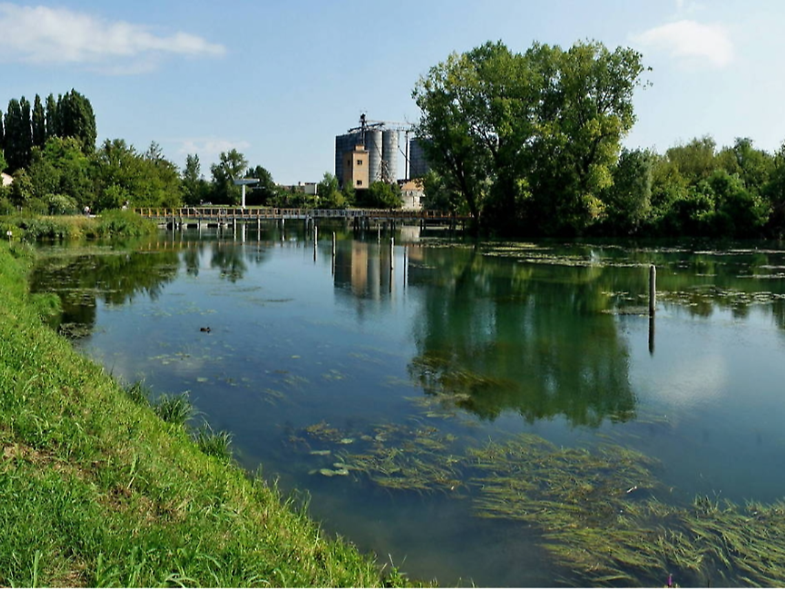 La zona del ritrovamento