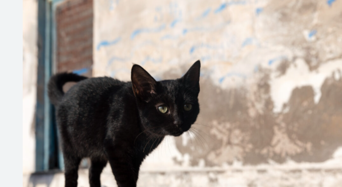 Venerdì 17: superstizione o semplice data? Le origini di un giorno temuto da molti