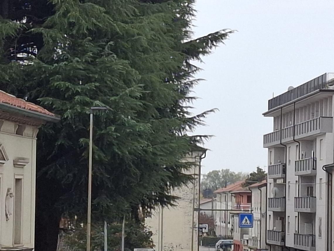 Un lampione a Trebaseleghe