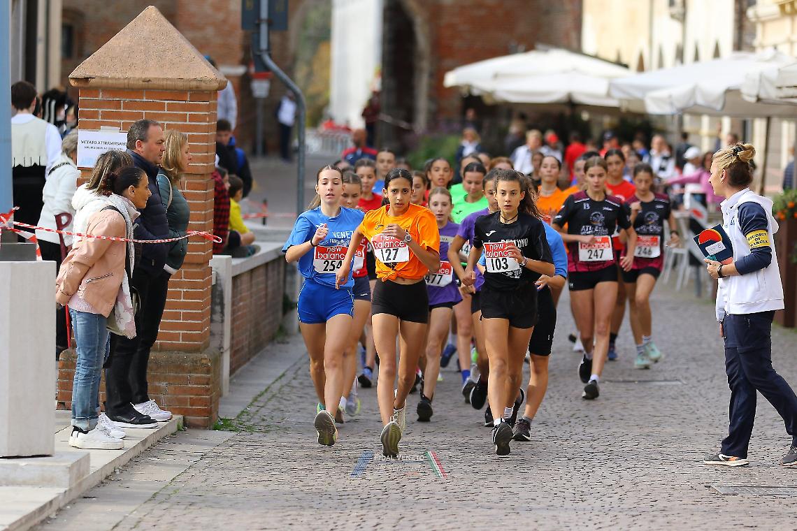 Foto della gara